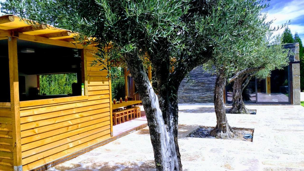 Casa Do Prado Guesthouse Вила Реал Екстериор снимка